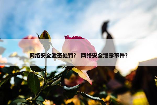 网络安全泄密处罚？ 网络安全泄露事件？