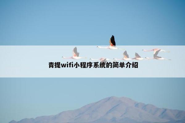 青提wifi小程序系统的简单介绍