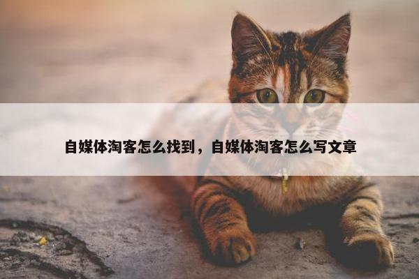 自媒体淘客怎么找到，自媒体淘客怎么写文章