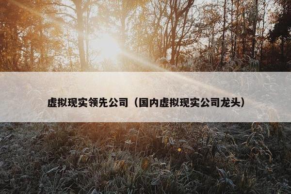 虚拟现实领先公司（国内虚拟现实公司龙头）