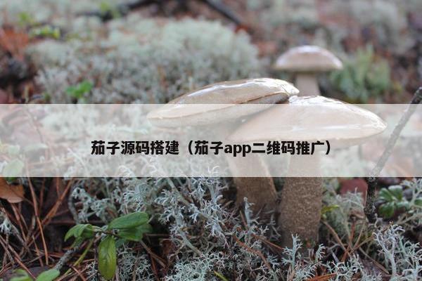 茄子源码搭建（茄子app二维码推广）