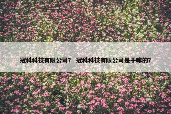 冠科科技有限公司？ 冠科科技有限公司是干嘛的？