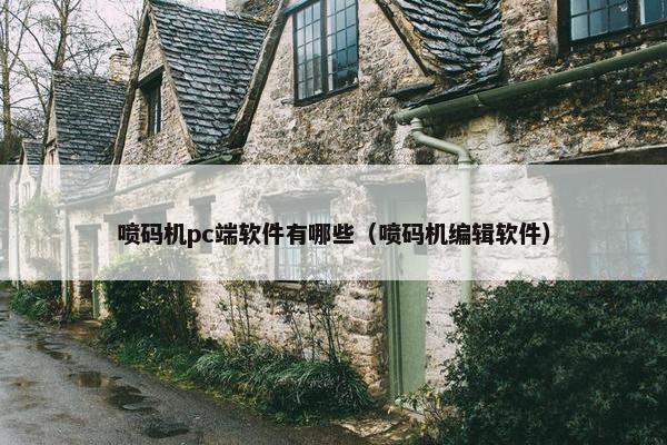 喷码机pc端软件有哪些（喷码机编辑软件）