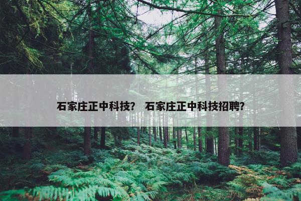 石家庄正中科技？ 石家庄正中科技招聘？