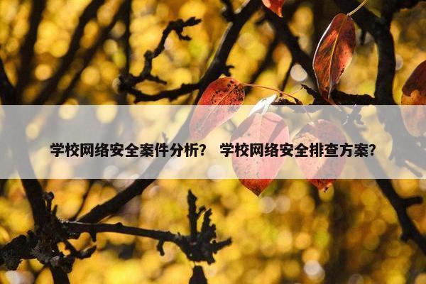 学校网络安全案件分析？ 学校网络安全排查方案？