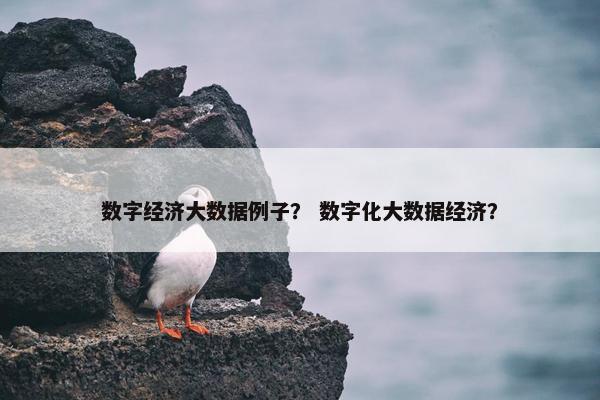 数字经济大数据例子？ 数字化大数据经济？