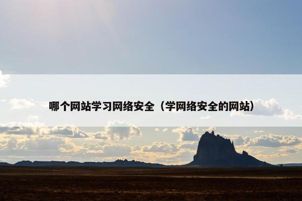 哪个网站学习网络安全（学网络安全的网站）