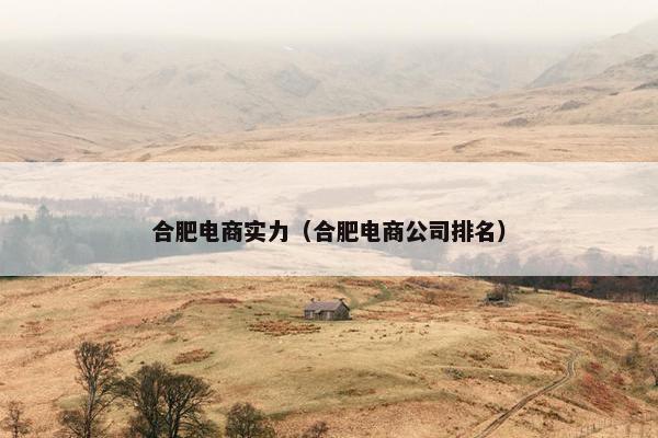 合肥电商实力（合肥电商公司排名）