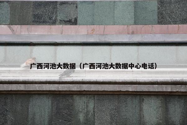 广西河池大数据（广西河池大数据中心电话）