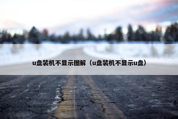 u盘装机不显示图解（u盘装机不显示u盘）