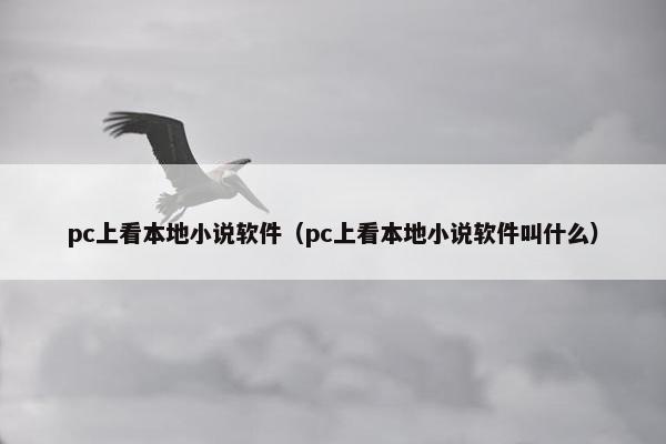 pc上看本地小说软件（pc上看本地小说软件叫什么）