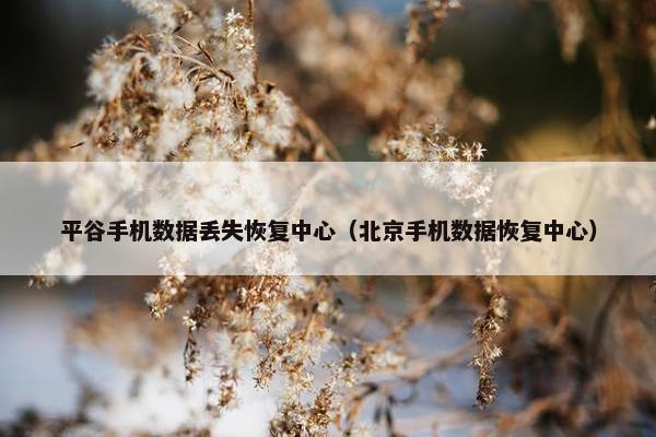 平谷手机数据丢失恢复中心（北京手机数据恢复中心）