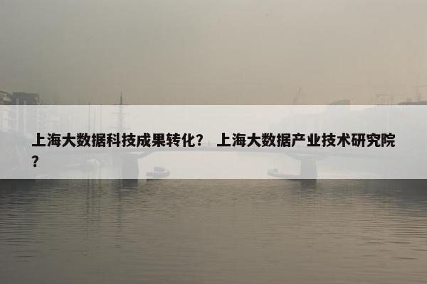 上海大数据科技成果转化？ 上海大数据产业技术研究院？