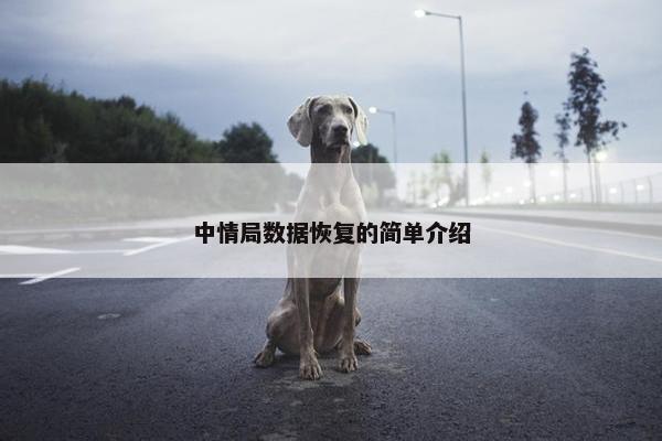 中情局数据恢复的简单介绍