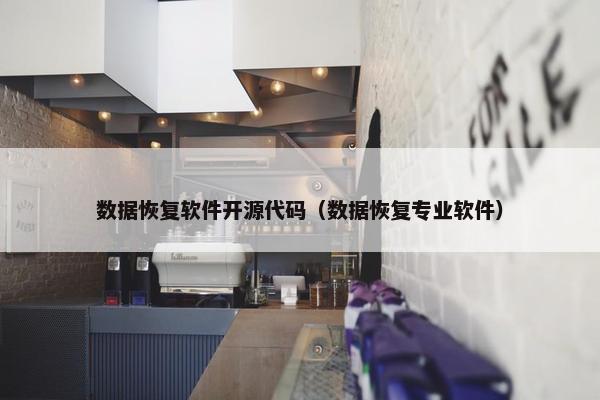 数据恢复软件开源代码（数据恢复专业软件）