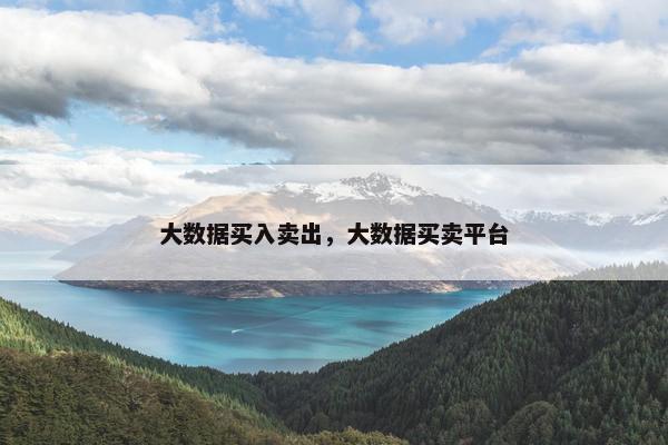 大数据买入卖出，大数据买卖平台