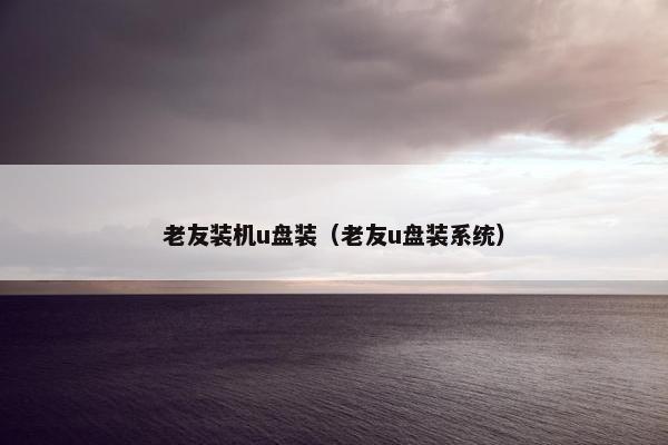 老友装机u盘装（老友u盘装系统）