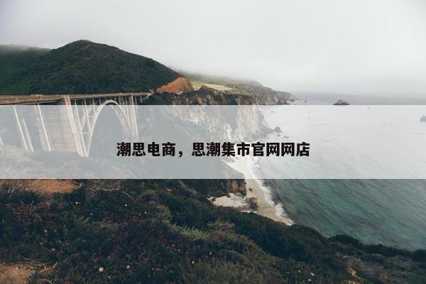 潮思电商，思潮集市官网网店