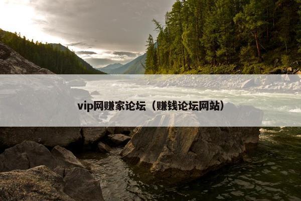 vip网赚家论坛（赚钱论坛网站）