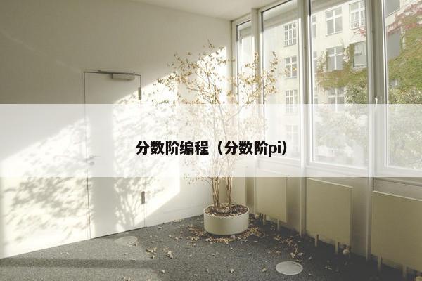 分数阶编程（分数阶pi）