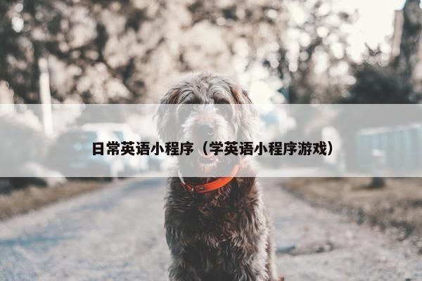 日常英语小程序（学英语小程序游戏）
