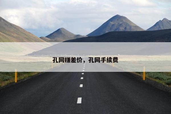 孔网赚差价，孔网手续费