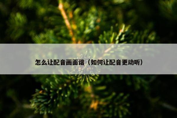 怎么让配音画面谐（如何让配音更动听）