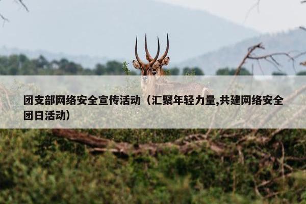 团支部网络安全宣传活动（汇聚年轻力量,共建网络安全团日活动）
