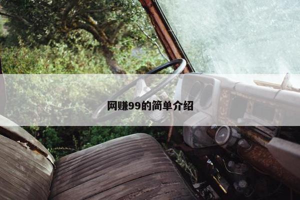 网赚99的简单介绍