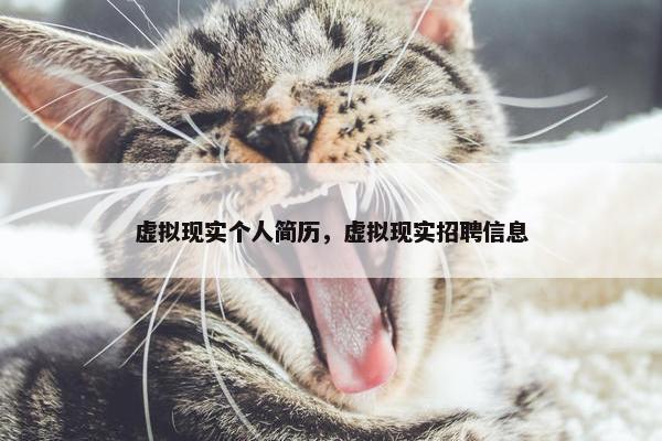 虚拟现实个人简历，虚拟现实招聘信息