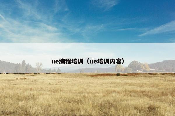 ue编程培训（ue培训内容）