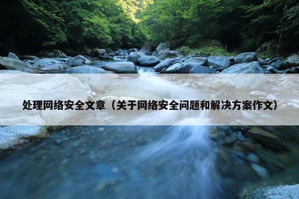 处理网络安全文章（关于网络安全问题和解决方案作文）