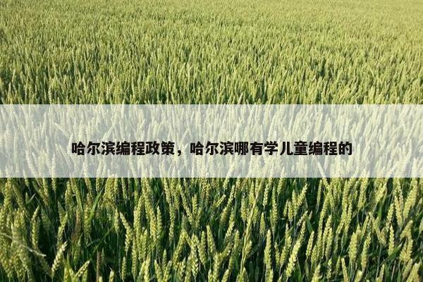 哈尔滨编程政策，哈尔滨哪有学儿童编程的