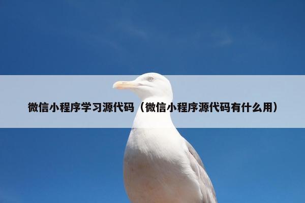 微信小程序学习源代码（微信小程序源代码有什么用）