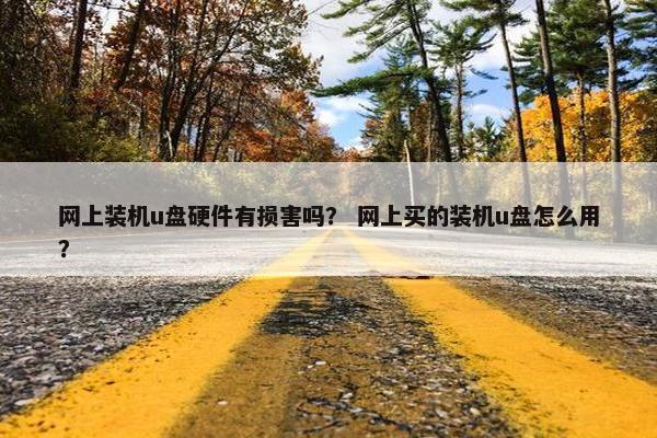 网上装机u盘硬件有损害吗？ 网上买的装机u盘怎么用？