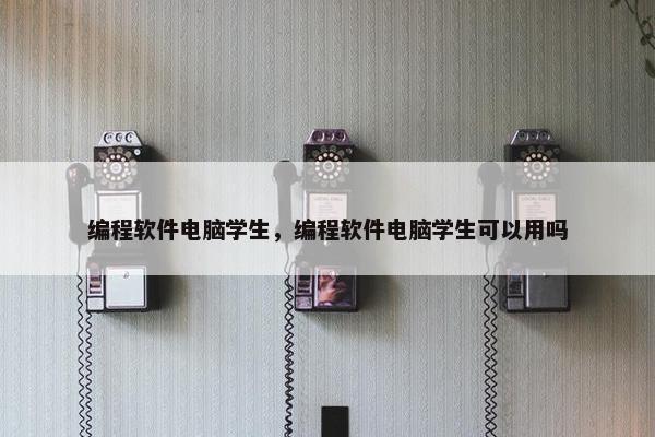 编程软件电脑学生，编程软件电脑学生可以用吗