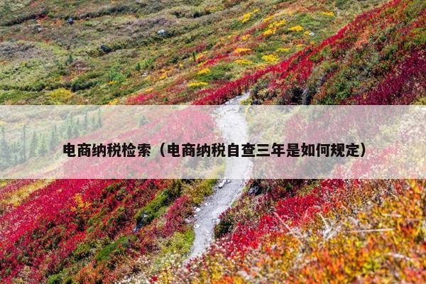 电商纳税检索（电商纳税自查三年是如何规定）