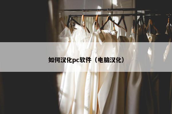 如何汉化pc软件（电脑汉化）