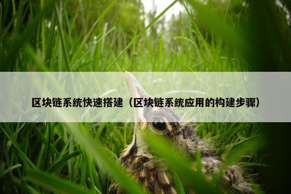 区块链系统快速搭建（区块链系统应用的构建步骤）