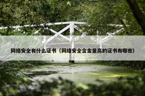 网络安全有什么证书（网络安全含金量高的证书有哪些）
