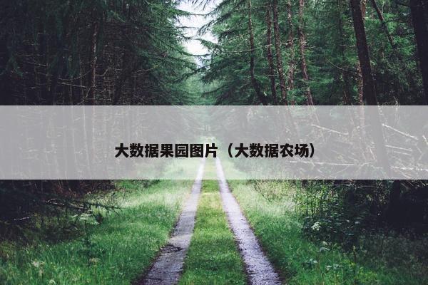 大数据果园图片（大数据农场）