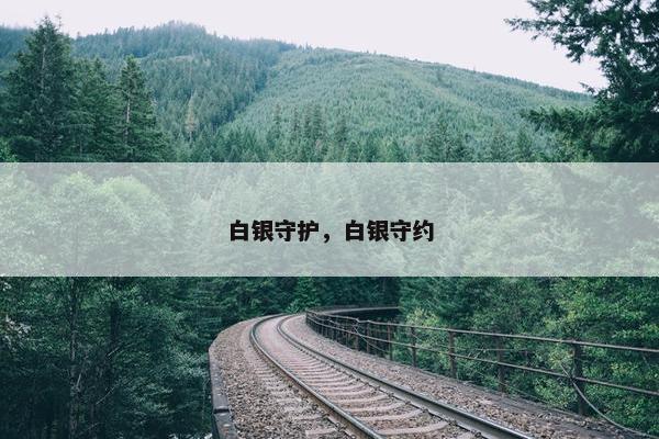白银守护，白银守约