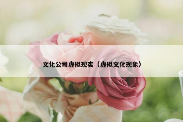 文化公司虚拟现实（虚拟文化现象）
