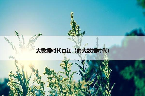 大数据时代口红（的大数据时代）