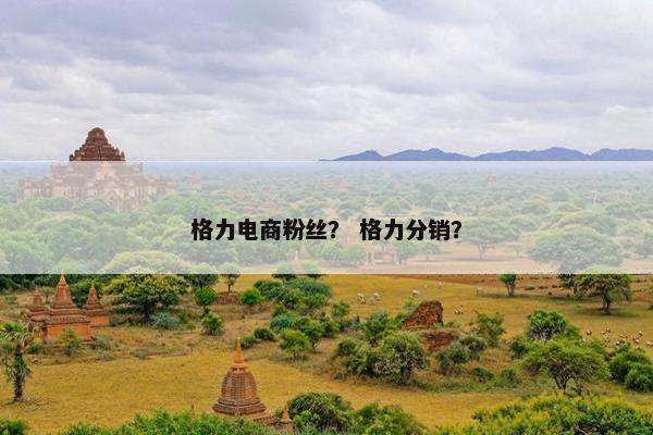 格力电商粉丝？ 格力分销？