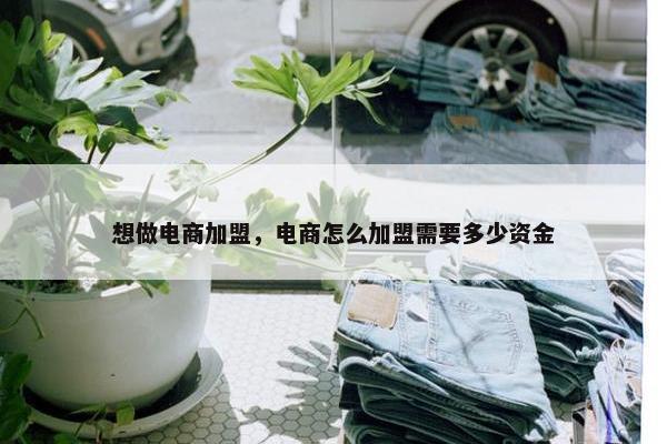 想做电商加盟，电商怎么加盟需要多少资金