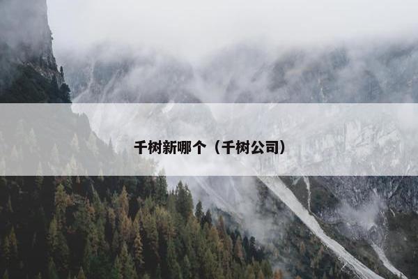 千树新哪个（千树公司）