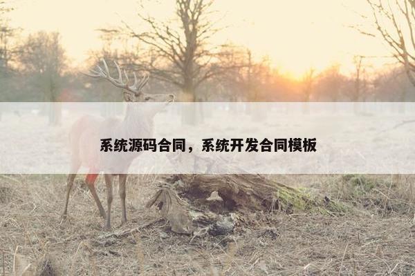 系统源码合同，系统开发合同模板