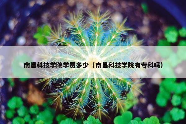南昌科技学院学费多少（南昌科技学院有专科吗）