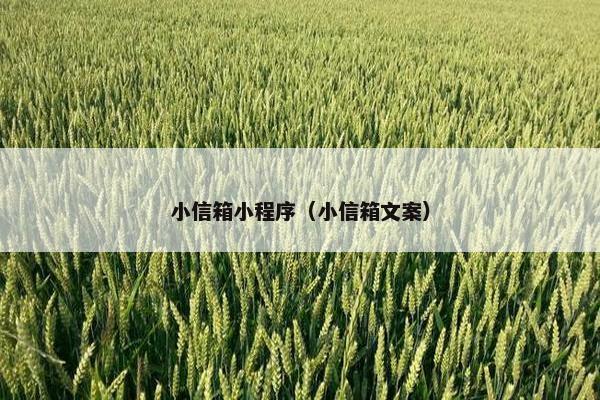 小信箱小程序（小信箱文案）